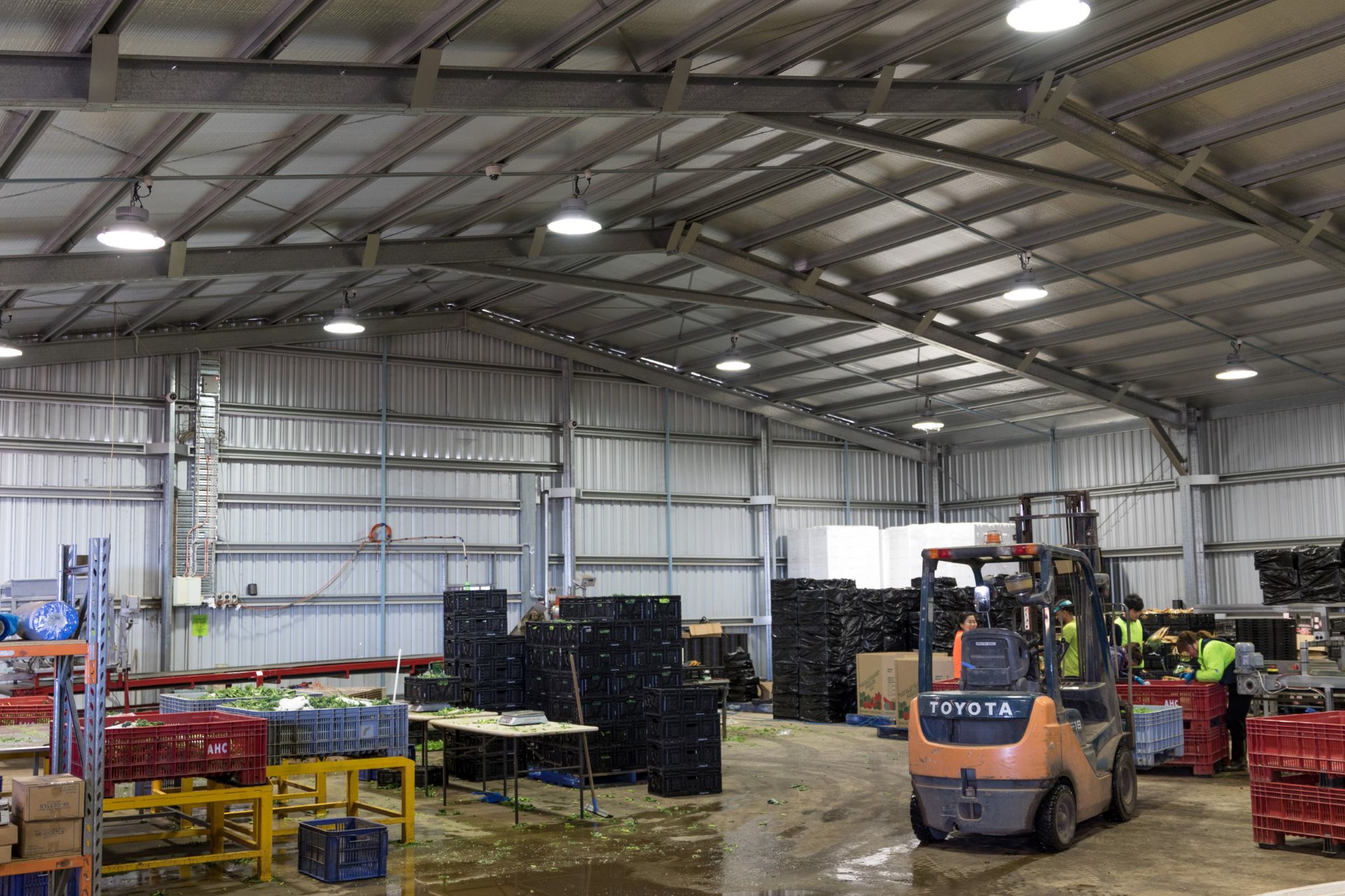 vegetable packing shed for lockyer valley farmer